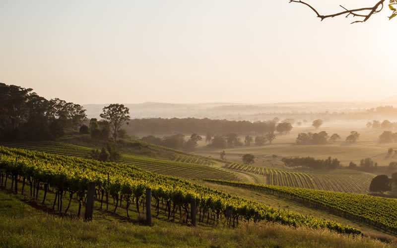 Hunter Valley Foster Accommodation